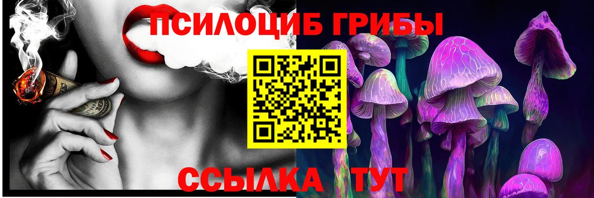 Псилоцибиновые грибы прущие грибы Фурманов