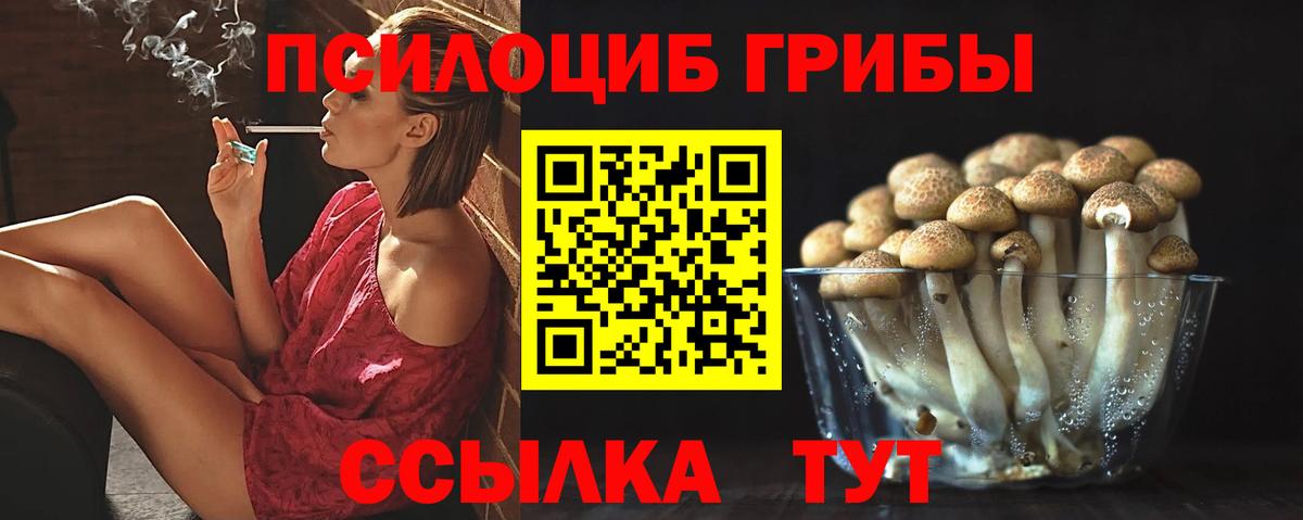 Псилоцибиновые грибы GOLDEN TEACHER  Вход с VPN  закладка  Фурманов 